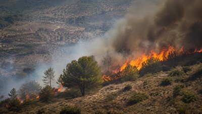 Wildfires in Spain: How They Start and How to Stay Safe